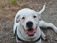 Raduno 4X4 26-07-2015 (61)